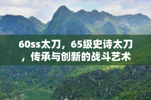 60ss太刀，65级史诗太刀，传承与创新的战斗艺术