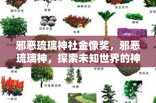 邪恶琉璃神社金像奖，邪恶琉璃神，探索未知世界的神秘之旅