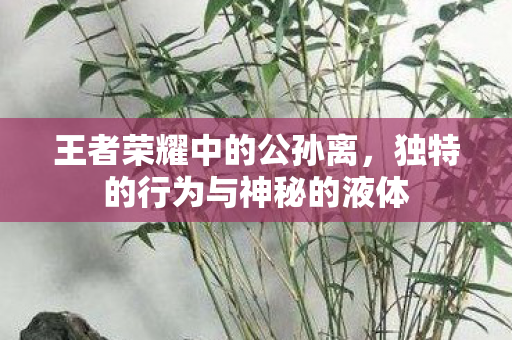 王者荣耀中的公孙离，独特的行为与神秘的液体