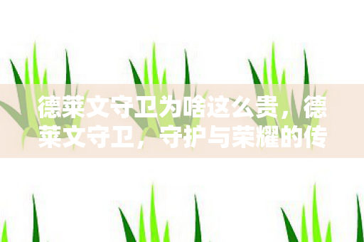 德莱文守卫为啥这么贵，德莱文守卫，守护与荣耀的传奇