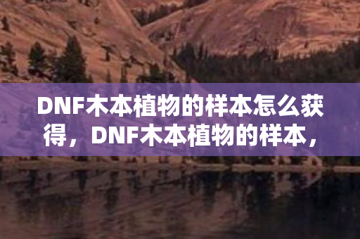 DNF木本植物的样本怎么获得，DNF木本植物的样本，探索阿拉德大陆的绿色奇迹