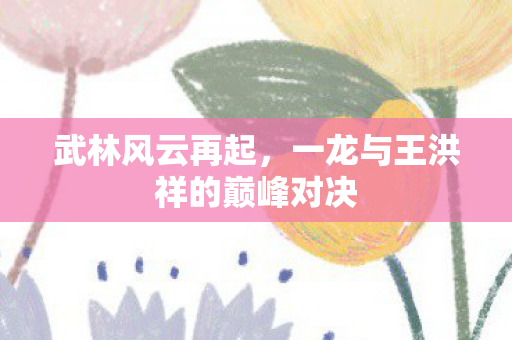 武林风云再起，一龙与王洪祥的巅峰对决