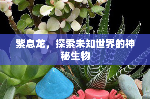 紫息龙，探索未知世界的神秘生物