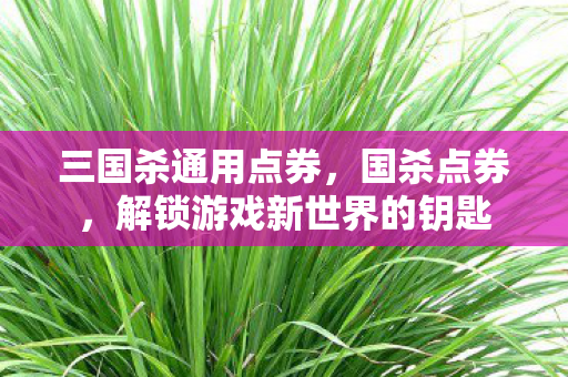 三国杀通用点券，国杀点券，解锁游戏新世界的钥匙