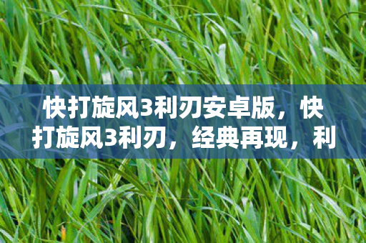 快打旋风3利刃安卓版，快打旋风3利刃，经典再现，利刃出鞘