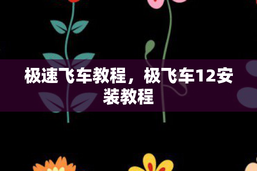 极速飞车教程，极飞车12安装教程
