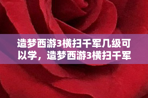 造梦西游3横扫千军几级可以学，造梦西游3横扫千军，重温经典，再燃热血