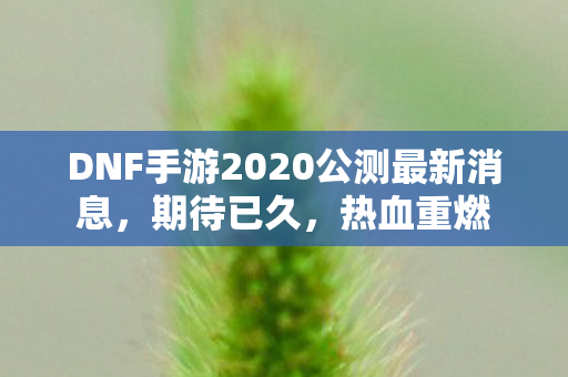 DNF手游2020公测最新消息，期待已久，热血重燃