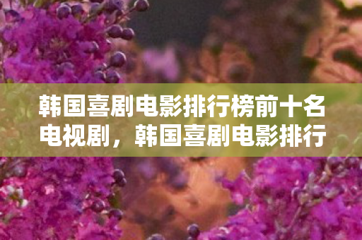 韩国喜剧电影排行榜前十名电视剧，韩国喜剧电影排行榜，笑料不断的经典之作