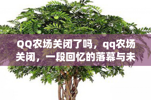 QQ农场关闭了吗，qq农场关闭，一段回忆的落幕与未来的展望