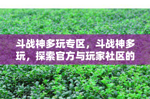 斗战神多玩专区，斗战神多玩，探索官方与玩家社区的互动新境界