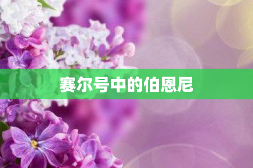 赛尔号中的伯恩尼