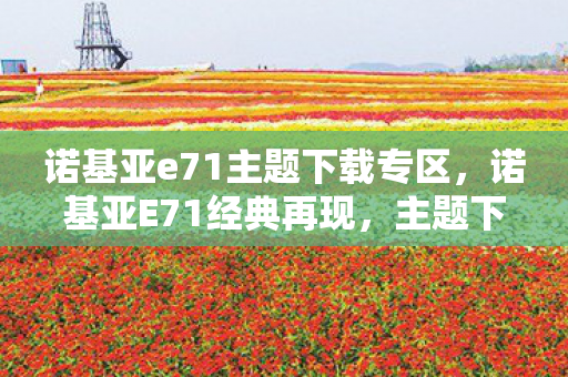 诺基亚e71主题下载专区，诺基亚E71经典再现，主题下载与个性化体验