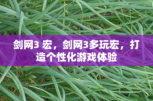 剑网3 宏，剑网3多玩宏，打造个性化游戏体验