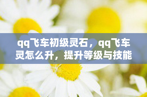 qq飞车初级灵石，qq飞车灵怎么升，提升等级与技能的有效策略