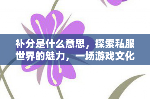 补分是什么意思，探索私服世界的魅力，一场游戏文化的独特探索