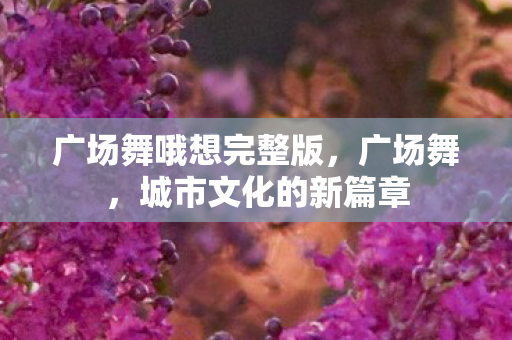 广场舞哦想完整版，广场舞，城市文化的新篇章