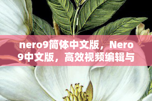 nero9简体中文版，Nero9中文版，高效视频编辑与转换的得力助手