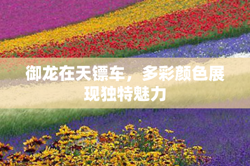 御龙在天镖车,多彩颜色展现独特魅力 御龙在天镖车,多彩颜色展现独特魅力