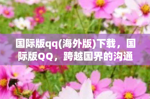 国际版qq(海外版)下载，国际版QQ，跨越国界的沟通桥梁
