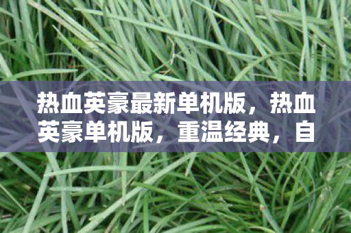 热血英豪最新单机版，热血英豪单机版，重温经典，自由探索的单机游戏之旅