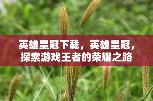 英雄皇冠下载，英雄皇冠，探索游戏王者的荣耀之路