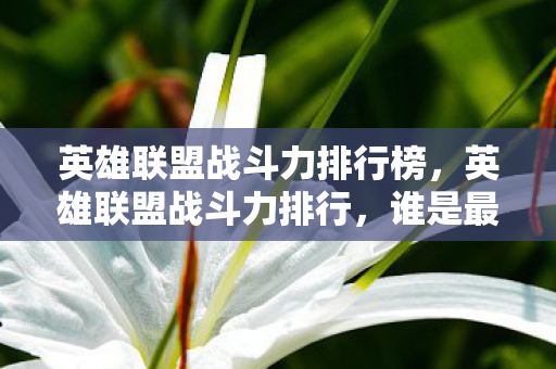 英雄联盟战斗力排行榜，英雄联盟战斗力排行，谁是最强的英雄？