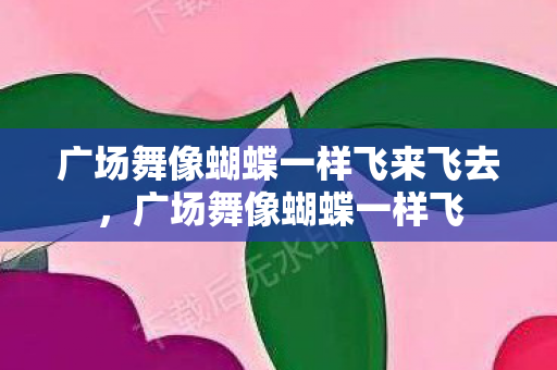广场舞像蝴蝶一样飞来飞去，广场舞像蝴蝶一样飞
