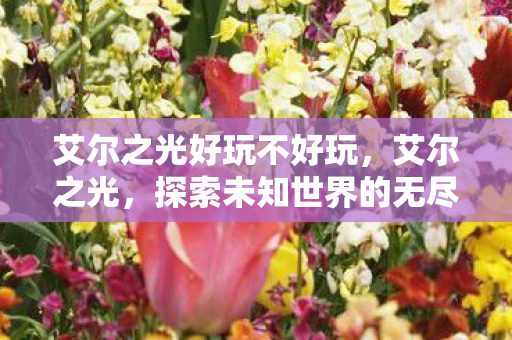 艾尔之光好玩不好玩，艾尔之光，探索未知世界的无尽乐趣