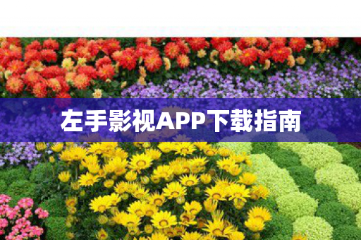 左手影视APP下载指南