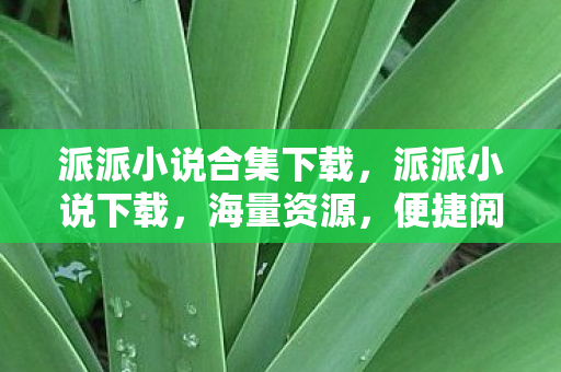 派派小说合集下载，派派小说下载，海量资源，便捷阅读新体验