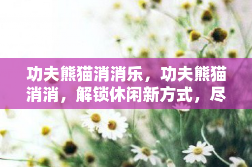 功夫熊猫消消乐，功夫熊猫消消，解锁休闲新方式，尽享欢乐时光