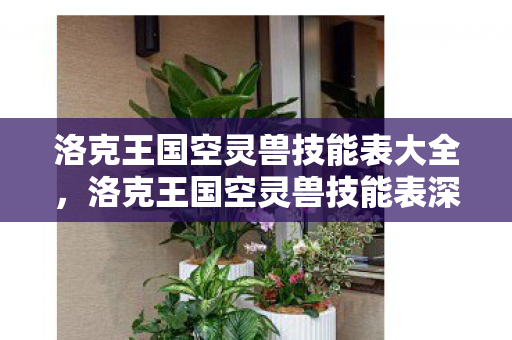 洛克王国空灵兽技能表大全，洛克王国空灵兽技能表深度解析