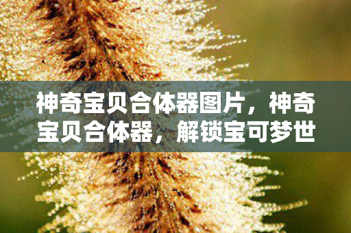 神奇宝贝合体器图片，神奇宝贝合体器，解锁宝可梦世界的无限可能