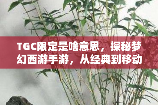 TGC限定是啥意思，探秘梦幻西游手游，从经典到移动端的华丽转身