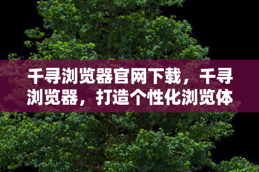 千寻浏览器官网下载，千寻浏览器，打造个性化浏览体验