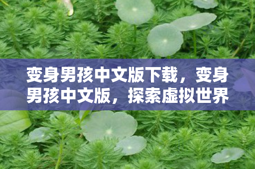 变身男孩中文版下载，变身男孩中文版，探索虚拟世界的无限可能