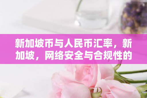 新加坡币与人民币汇率，新加坡，网络安全与合规性的典范