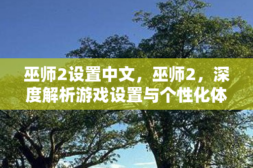 巫师2设置中文，巫师2，深度解析游戏设置与个性化体验