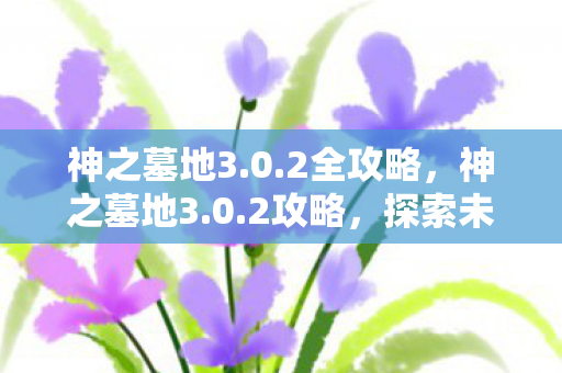 神之墓地3.0.2全攻略，神之墓地3.0.2攻略，探索未知，挑战极限