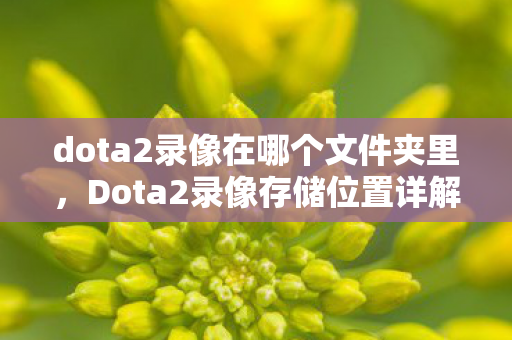 dota2录像在哪个文件夹里，Dota2录像存储位置详解