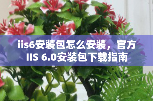 iis6安装包怎么安装，官方IIS 6.0安装包下载指南