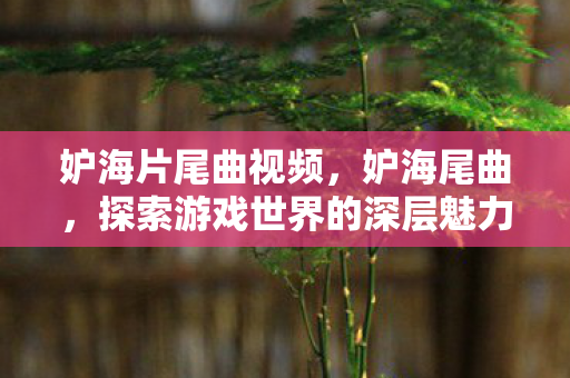 妒海片尾曲视频，妒海尾曲，探索游戏世界的深层魅力