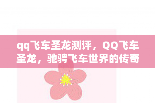 qq飞车圣龙测评，QQ飞车圣龙，驰骋飞车世界的传奇之旅