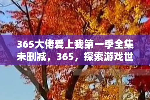 365大佬爱上我第一季全集未删减，365，探索游戏世界的无限可能