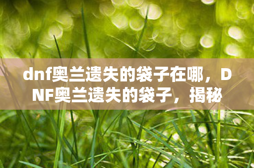 dnf奥兰遗失的袋子在哪，DNF奥兰遗失的袋子，揭秘神秘道具背后的故事