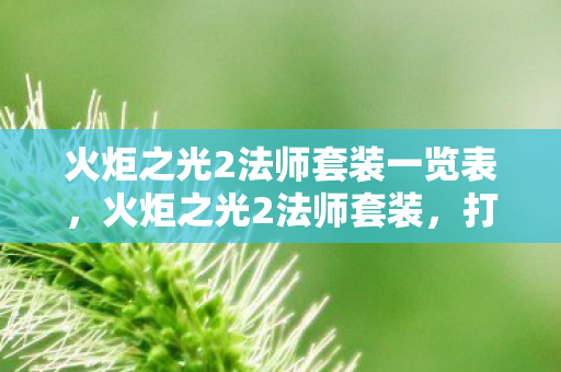 火炬之光2法师套装一览表，火炬之光2法师套装，打造法师的终极力量