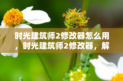 时光建筑师2修改器怎么用，时光建筑师2修改器，解锁无限可能的创意工具