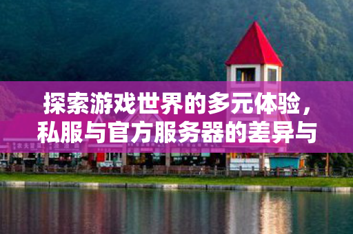 探索游戏世界的多元体验，私服与官方服务器的差异与共存