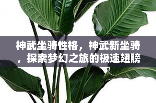 神武坐骑性格，神武新坐骑，探索梦幻之旅的极速翅膀